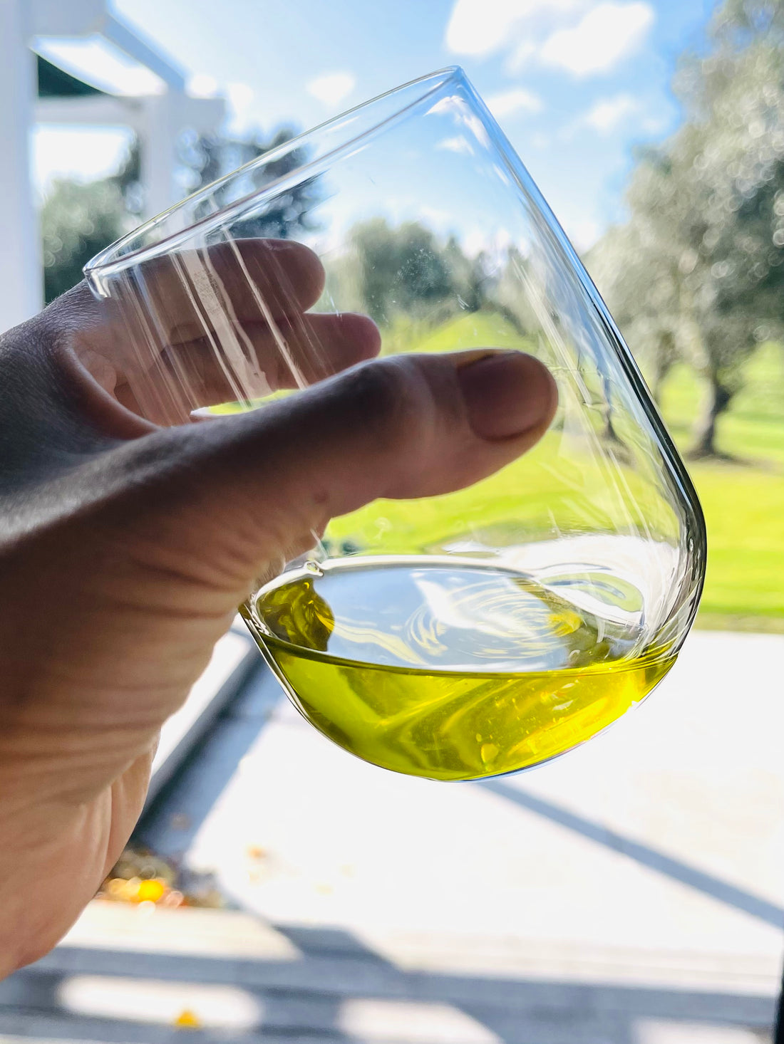 How To Choose The Best Olive Oil - Olive Oil Quality 101