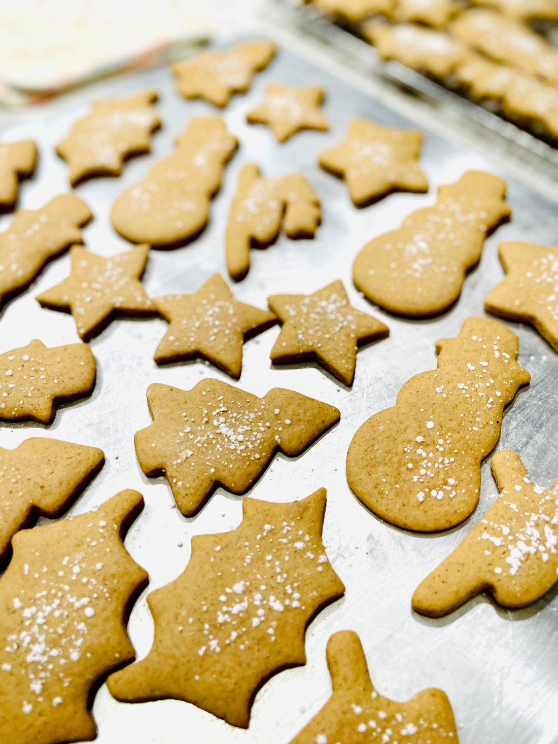 Gingerbread Cookies made with EVOO